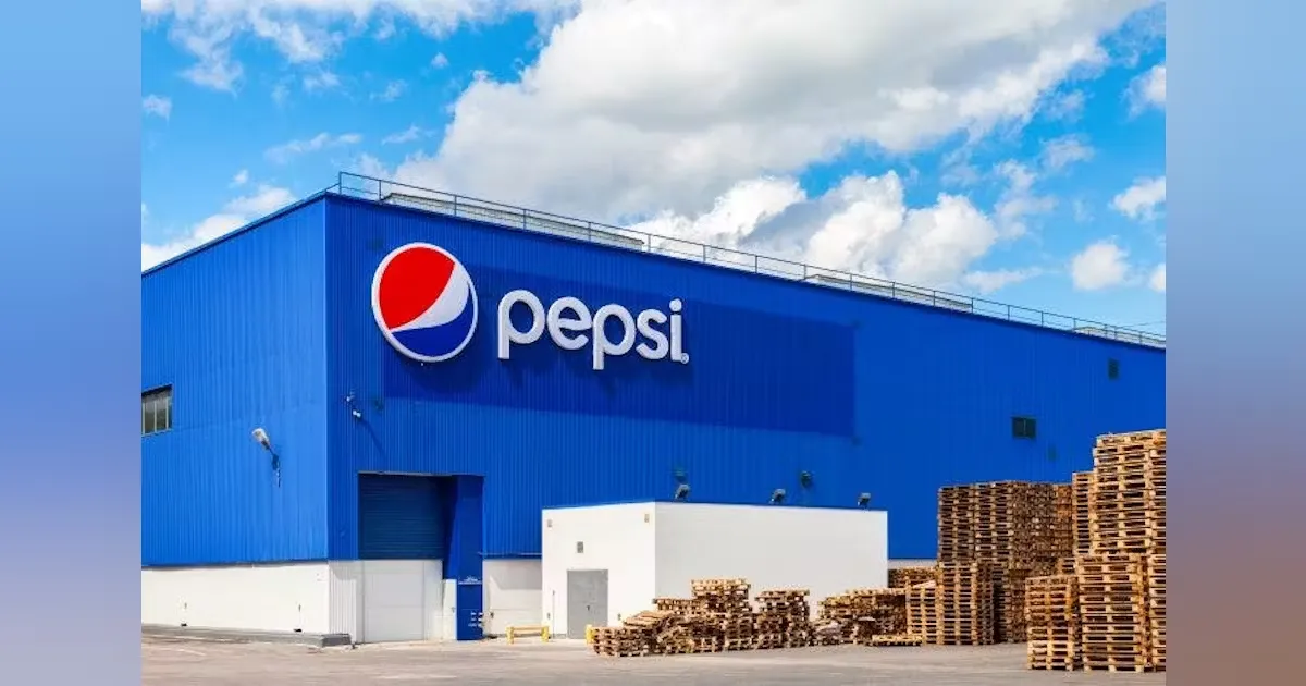 Adhesive glue-board insect light trap example